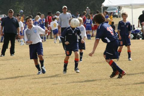 Alamo Classic 065
