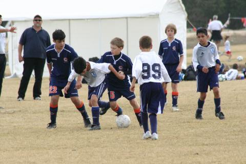 Alamo Classic 036