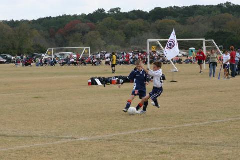 Alamo Classic 037