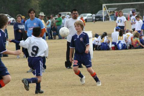 Alamo Classic 040