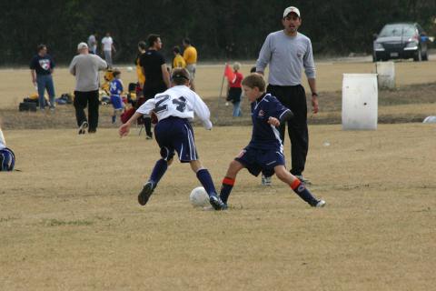 Alamo Classic 050