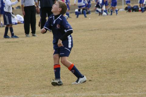 Alamo Classic 055