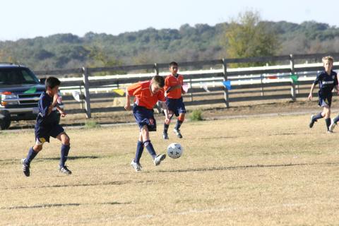 Alamo Classic 196