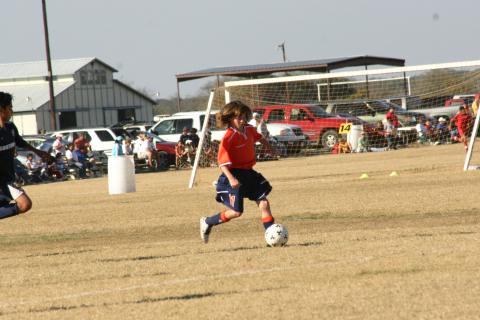 Alamo Classic 203