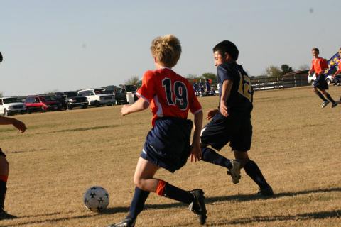 Alamo Classic 207