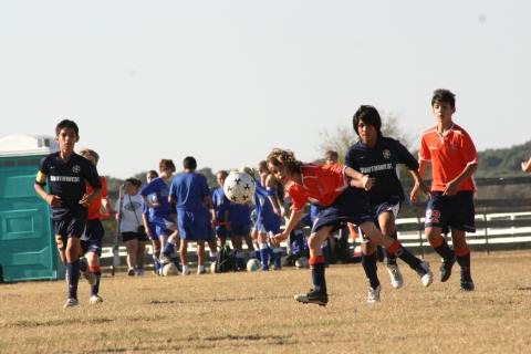 Alamo Classic 213