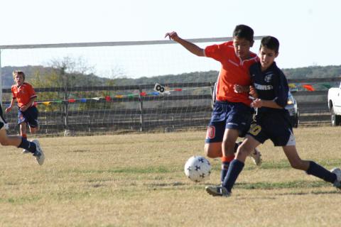 Alamo Classic 214