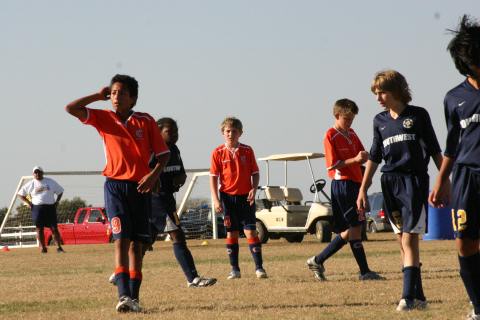 Alamo Classic 216