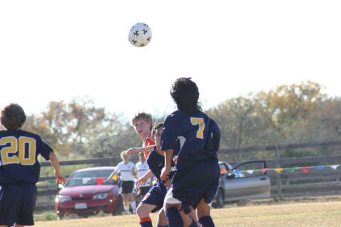 Alamo Classic 220