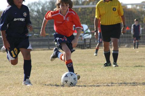 Alamo Classic 221