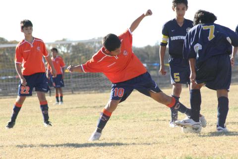 Alamo Classic 226