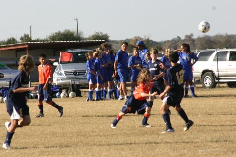 Alamo Classic 233
