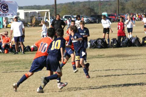 Alamo Classic 235
