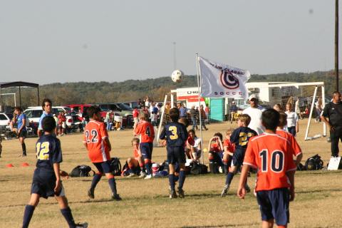 Alamo Classic 236