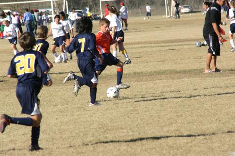 Alamo Classic 238