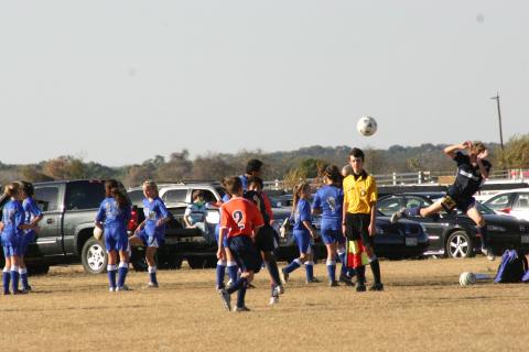 Alamo Classic 242