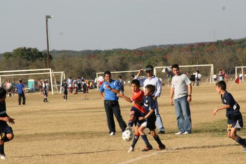 Alamo Classic 253