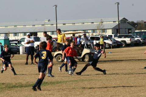 Alamo Classic 255