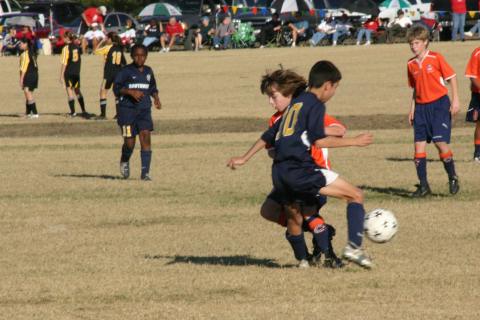 Alamo Classic 257