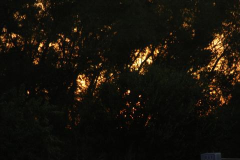 Sep 06 185